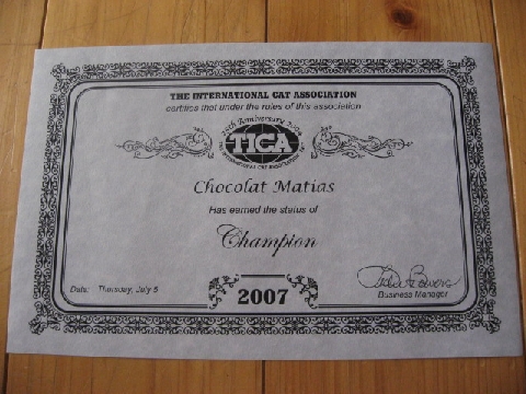 �`�����s�I���ؖ���