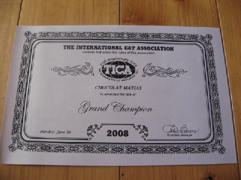 �O�����h�`�����s�I���ؖ���